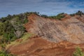 Green vegetation on top of Waimea Canyon, Kauai, Hawaii, USA Royalty Free Stock Photo