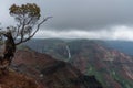 Waimea Canyon on Kauai, Hawaii, in winter after a major rainstorm Royalty Free Stock Photo
