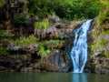 Waimea Falls