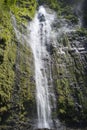 Waimoku Falls big waterfall in Maui Hawaii in Haleakala National Park on the Pipiwai Trail.