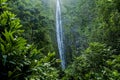 Waimoku Falls Royalty Free Stock Photo