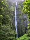 Waimoku Falls, Maui Royalty Free Stock Photo