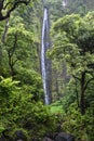 Waimoku Falls, Pipiwai trail, Kipahulu state park, Maui, Hawaii