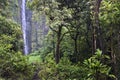 Waimoku Falls, Pipiwai trail, Kipahulu state park, Maui, Hawaii Royalty Free Stock Photo