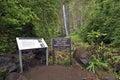 Waimoku Falls, Pipiwai trail, Kipahulu state park, Maui, Hawaii Royalty Free Stock Photo