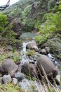 Wainamu waterfalls, West coast of North Island, New Zealand Royalty Free Stock Photo