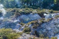 Wai-O-Tapu is an active geothermal area, Rotorua, New Zealand.