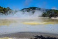 Wai-O-Tapu is an active geothermal area, Rotorua, New Zealand.