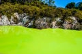 Wai-O-Tapu is an active geothermal area, Rotorua, New Zealand.