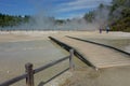 Waiotapu Geothermal Wonderland boardwalk, New Zealand.