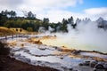 Waiotapu Thermal Reserve in New Zealand. Waiotapu is the largest hot spring in the world, Te Puia thermal park. Rotorua town, New Royalty Free Stock Photo