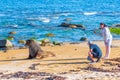 WAIPAPA, NEW ZEALAND, JANUARY 26, 2020: Tourists taking picture of Hooker's Sea lion at Waipapa point in New Zealand Royalty Free Stock Photo