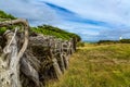 Waipapa Point - strong ocean wind