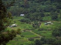 Waipio Valley