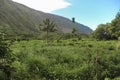 Waipio valley and its lush vegetation, Big Island, Hawaii
