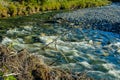 Waiprous Creek wanders through the park. North Ghost Provincial Recreation Area Alberta Canada