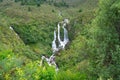 Waipungu Waterfall deep in New Zealand bush just off Napier Taupo highway