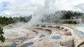 Wairakei termal pools and terraces near Taupo Royalty Free Stock Photo