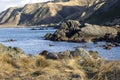 Wairarapa Coast Seals, NZ