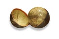 Wait pouch globe. Cary, 1791 Royalty Free Stock Photo