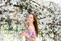 Waist up portrait of young smiling woman with red hair near blossoming plum tree Royalty Free Stock Photo