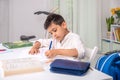 Waist up portrait of  schoolboy  siting at the table at home and doing his homework Royalty Free Stock Photo