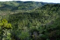 Waitakere Ranges - New Zealand