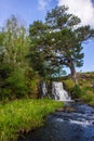 Waitangi Falls