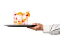 Waiter hand holding metal tray with set of crafted cocktails with berries, ice cubes and a sprig of mint Royalty Free Stock Photo