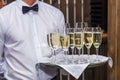 The waiter holds a tray with alcohol Royalty Free Stock Photo