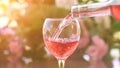 Waiter pouring a glass of cold rose wine, green garden background