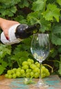 Waiter pouring a glass of ice cold white wine, outdoor terrace, Royalty Free Stock Photo