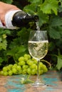 Waiter pouring a glass of ice cold white wine, outdoor terrace, Royalty Free Stock Photo