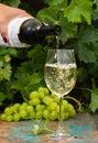 Waiter pouring a glass of ice cold white wine, outdoor terrace,