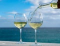 Waiter pouring glass of white wine on outdoor terrace with sea v Royalty Free Stock Photo