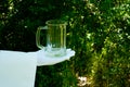 The waiter`s hand in a white glove holds a beer glass against the background of nature Royalty Free Stock Photo