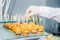 The waiter is servering catering buffet table with food and snacks for guests of the event. Dining Food Celebration Party Concept. Royalty Free Stock Photo