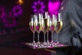 Waiter serving champagne on a tray Royalty Free Stock Photo