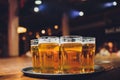 Waiter serving glasses of cold beer on the tray. Royalty Free Stock Photo