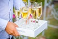 Waiter serving stylish golden champagne in glasses on tray.