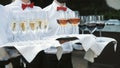 Waiters greet guests with alcoholic drinks. Champagne, red, white wine on trays