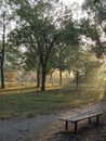 lone park bench Royalty Free Stock Photo