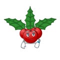 Waiting christmas holly berry in the cartoon Royalty Free Stock Photo
