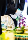 Waiting service waiters in luxury party Royalty Free Stock Photo