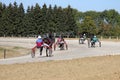 waiting for start harness racing horse trotter breed Royalty Free Stock Photo