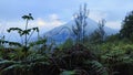 waiting for the sunrise at the top of semeru peak jawa timur