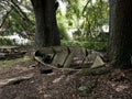 Waiting for a swamp boat tour of the Bayous outside of New Orleans in Louisiana USA Royalty Free Stock Photo