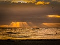 Waiting for a Wave as a Seagull Flies Overhead Royalty Free Stock Photo