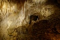 Waitomo caves, Nort Island of New Zealand, beautiful caves known for glow worms Royalty Free Stock Photo