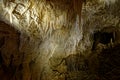 Waitomo caves, Nort Island of New Zealand, beautiful caves known for glow worms Royalty Free Stock Photo